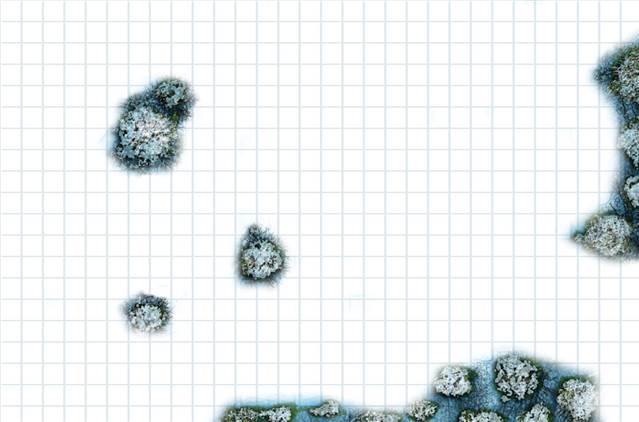 battlemap neige.jpg