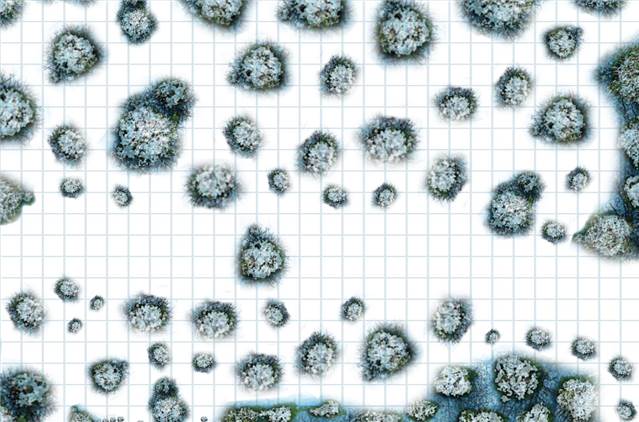 battlemap neige 2.jpg