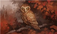 Owl (Plot Twists)