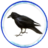 ScrewTurn.Wiki.FilesStorageProvider|/Battlemaps/Monstres/corbeau02.png