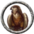 ScrewTurn.Wiki.FilesStorageProvider|/Battlemaps/Monstres/faucon01.png