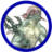 ScrewTurn.Wiki.FilesStorageProvider|/Battlemaps/Monstres/skum01.png